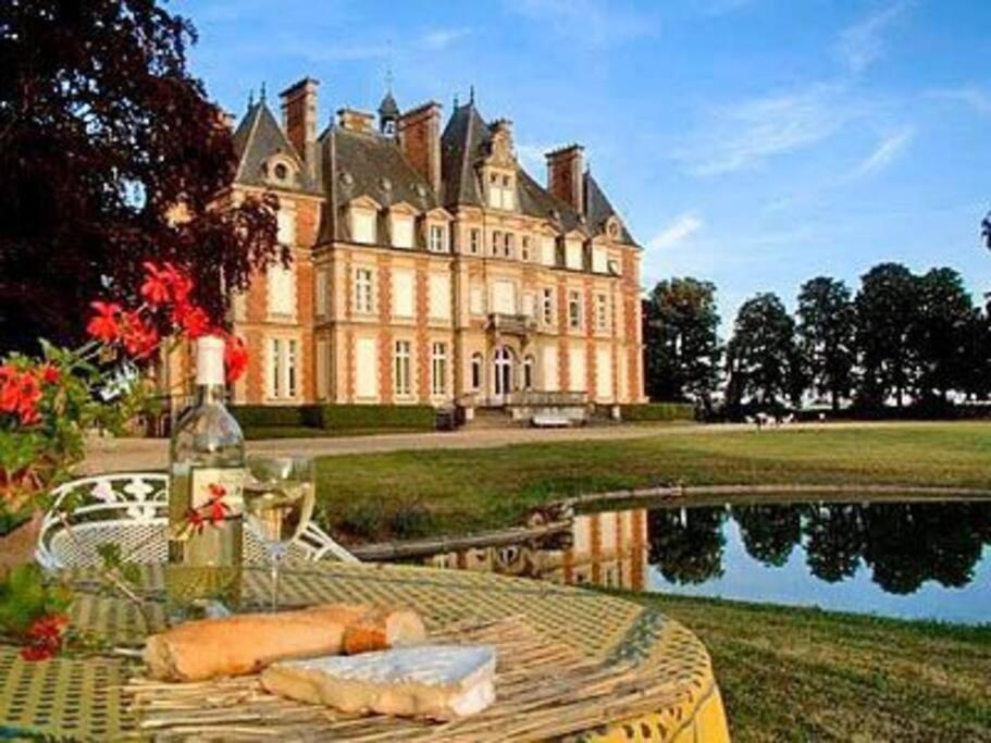 Charming Romantic Tower In Chateau Estate Ocquerre Esterno foto