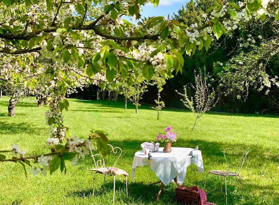 Charming Romantic Tower In Chateau Estate Ocquerre Esterno foto